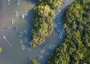  The Mangroves of Kedonganan: A New Life in Ecotourism for Bali’s Fishermen