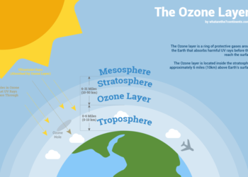 Protecting Earth’s Ozone Layer through Waste Credit