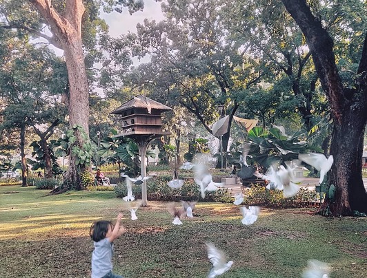 Planning for a Family Weekend Getaway? Try These Places in and around Jakarta