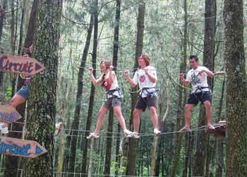 Swing Like Tarzan at Bandung TreeTop