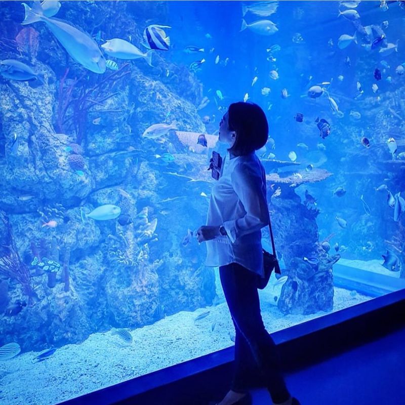 A woman enjoying a view of sea creatures at Jakarta Aquarium.