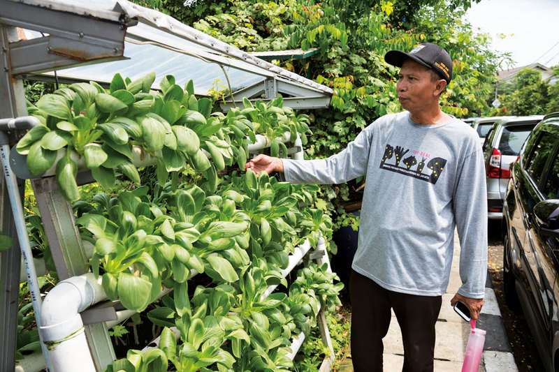 Urban Farming and Green Alley Pilot Program: The Next Big Green for Jakarta
