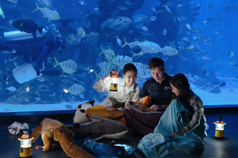 Aqua Camp Offers Family an Undersea Getaway | NOW! JAKARTA