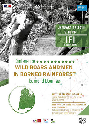 Wild Boars and Men in Borneo Rainforest