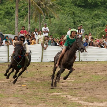 The horse racing of Lombok’s Little Jockeys