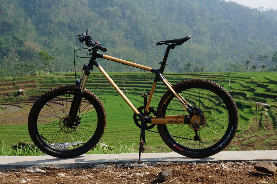 Spedagi 2025 bamboo bike